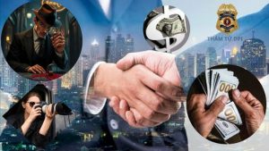 thám tử xác minh điều tra